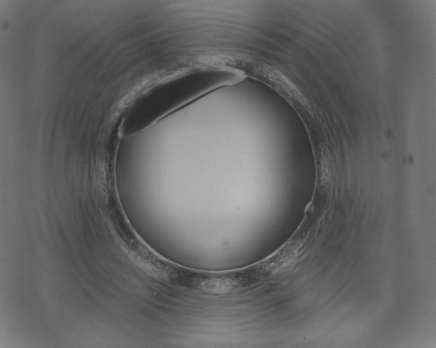 X0000071780444200606300921