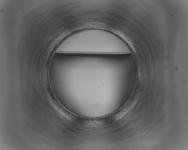 X0000071780445200606300921