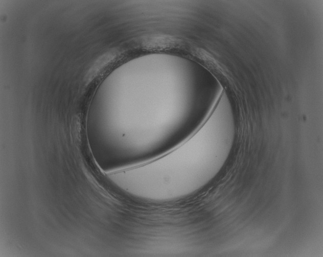 X0000071780448200606300921