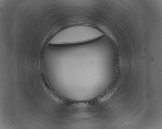 X0000071780449200606300921