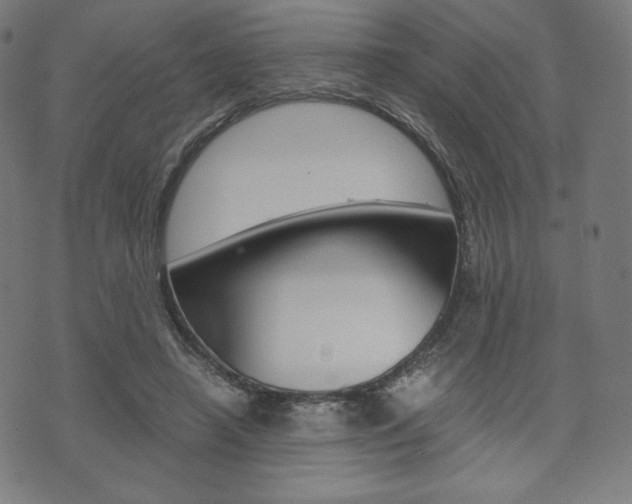 X0000071780450200606300921