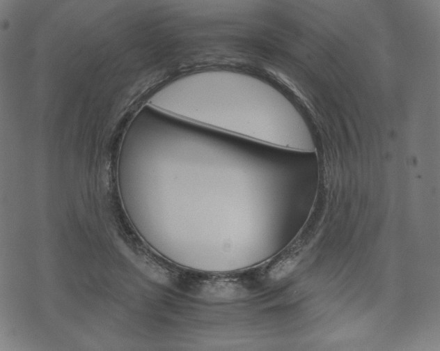 X0000071780451200606300921