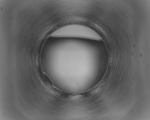 X0000071780452200606300921