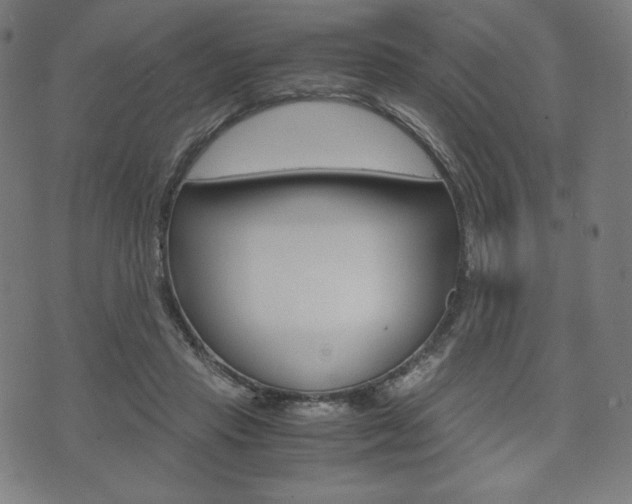 X0000071780453200606300921