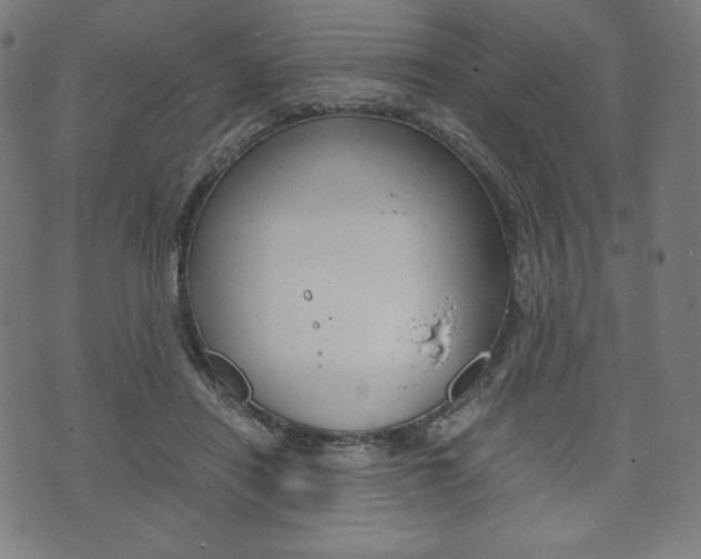 X0000071780454200606300921