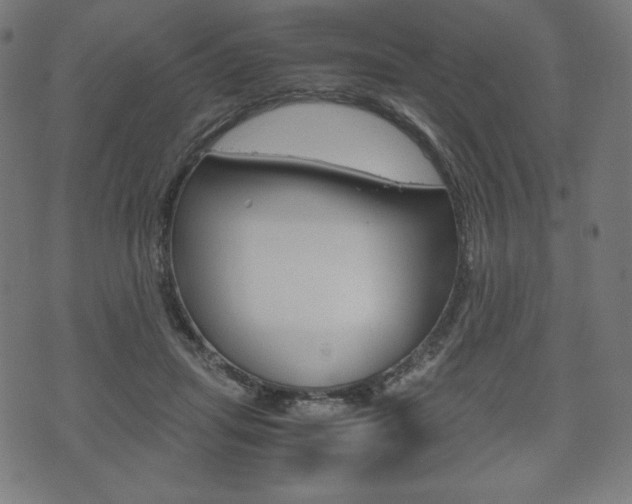 X0000071780455200606300921