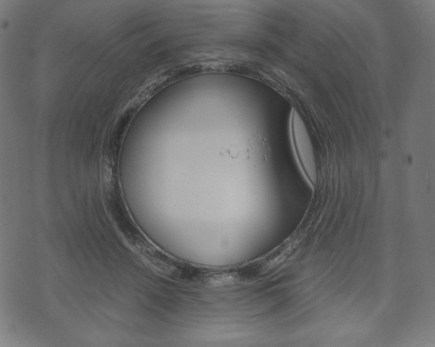 X0000071780456200606300921