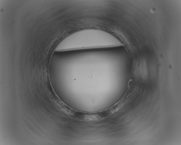 X0000071780457200606300921