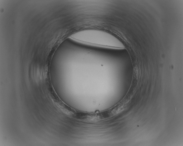 X0000071780458200606300921