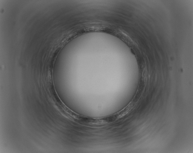 X0000071780459200606300921