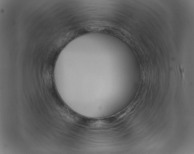 X0000071780460200606300921