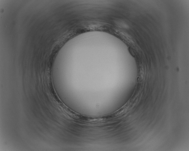 X0000071780461200606300921