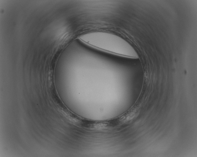 X0000071780462200606300921