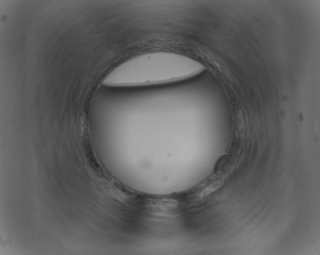 X0000071780463200606300921