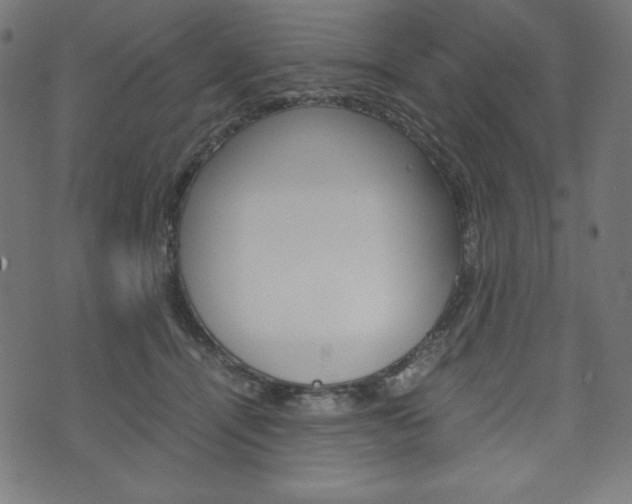 X0000071780464200606300921