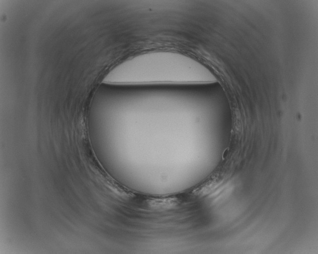 X0000071780465200606300921