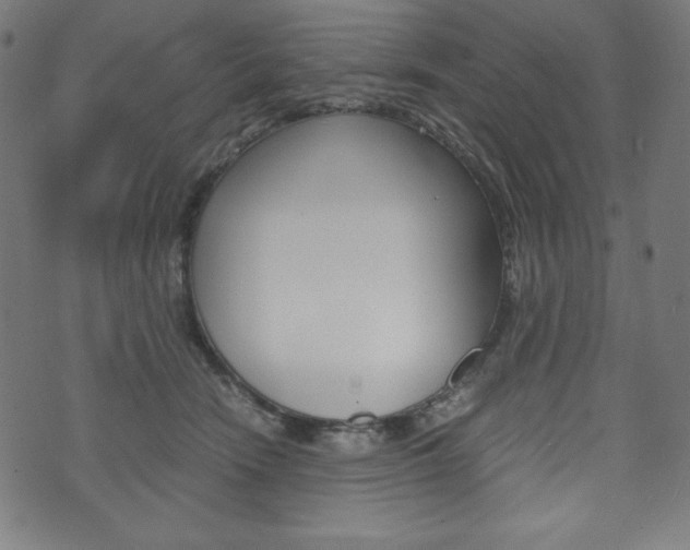 X0000071780466200606300921