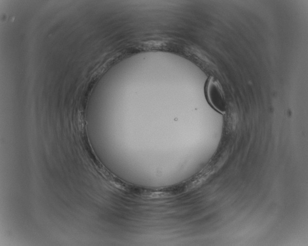 X0000071780467200606300921