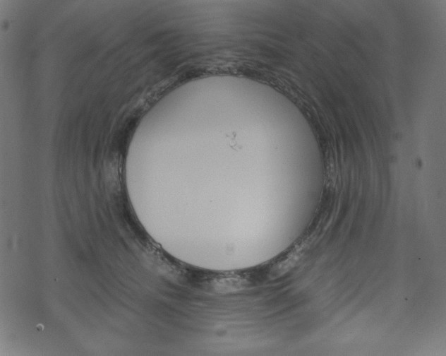 X0000071780468200606300921