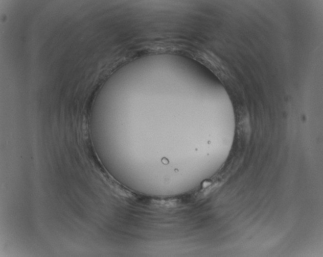 X0000071780469200606300921