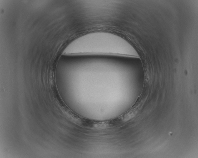 X0000071780470200606300921