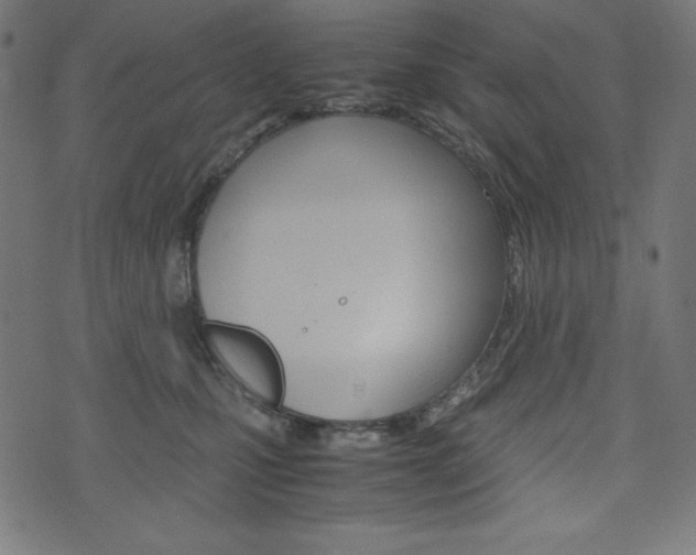 X0000071780471200606300921