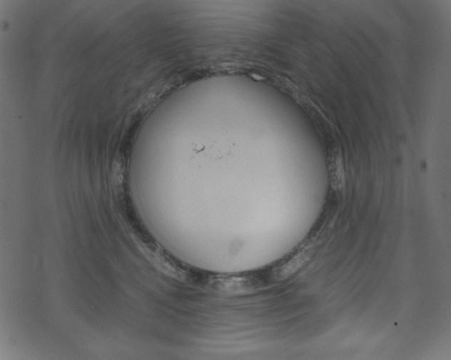 X0000071780472200606300921