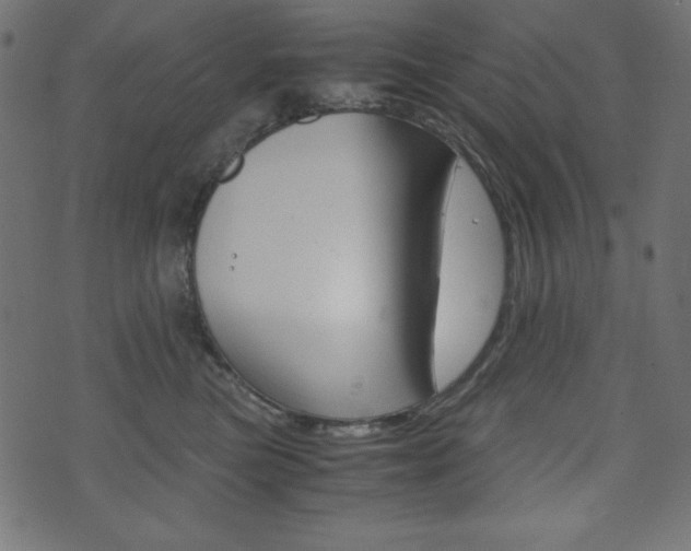 X0000071780473200606300921