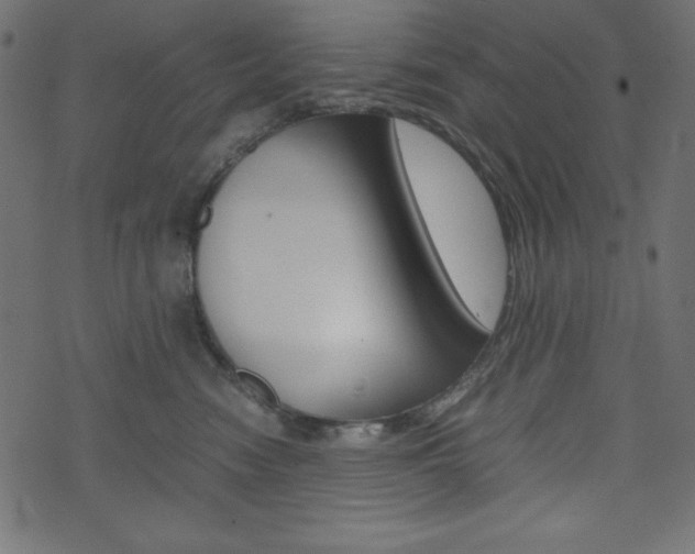 X0000071780474200606300921