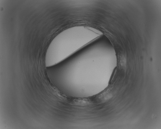 X0000071780475200606300921