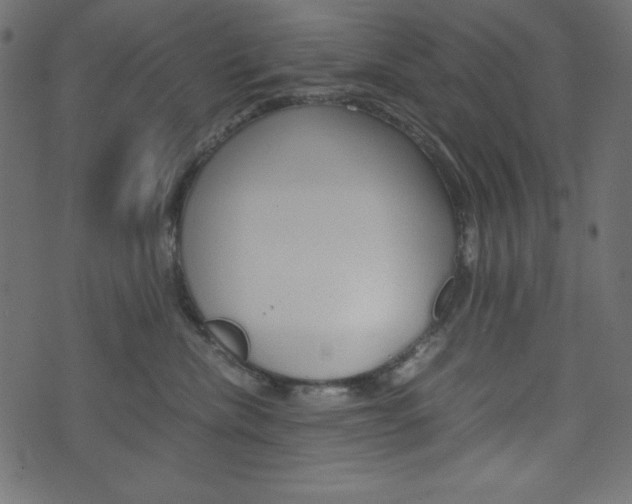 X0000071780476200606300921