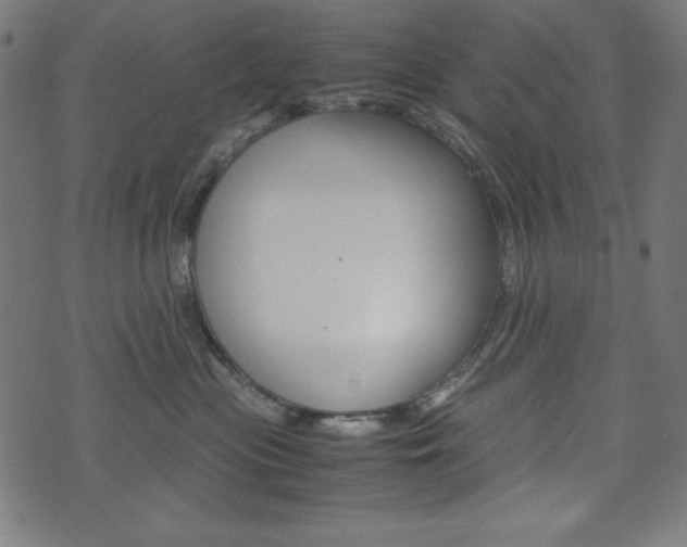 X0000071780477200606300921