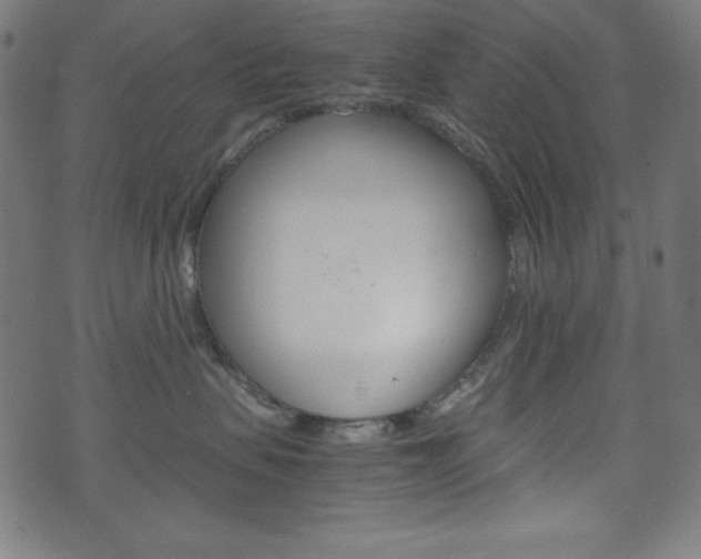 X0000071780479200606300921