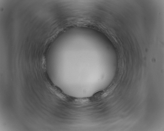 X0000071780480200606300921