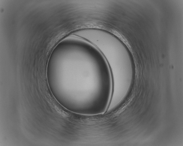 X0000071780481200606300921