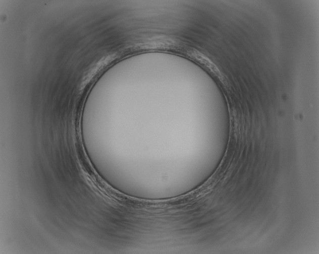 X0000071780482200606300921