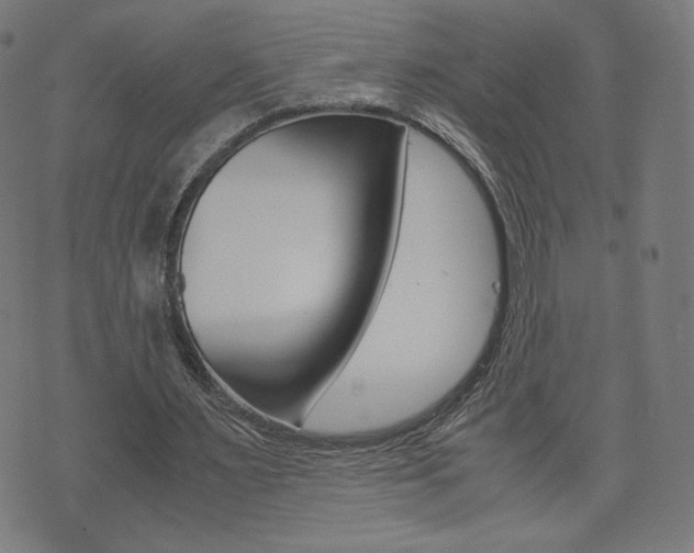 X0000071780483200606300921