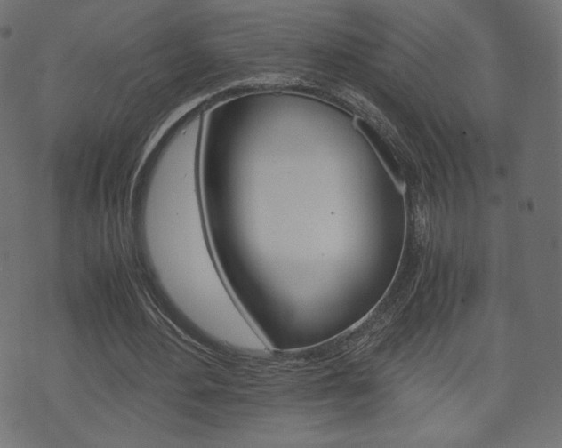 X0000071780484200606300921