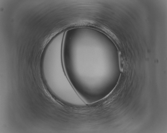 X0000071780485200606300921