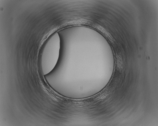 X0000071780486200606300921