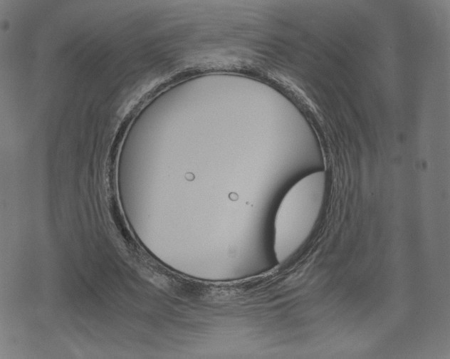 X0000071780487200606300921