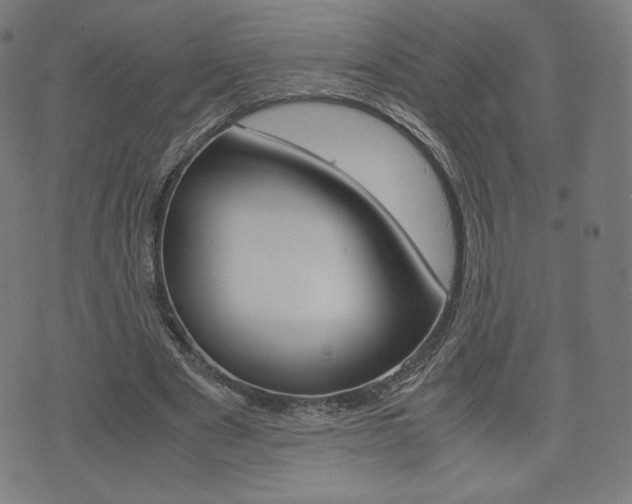 X0000071780489200606300920