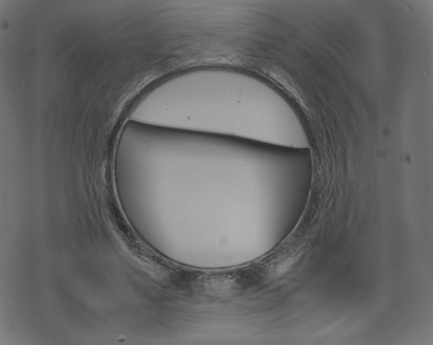 X0000071780491200606300920