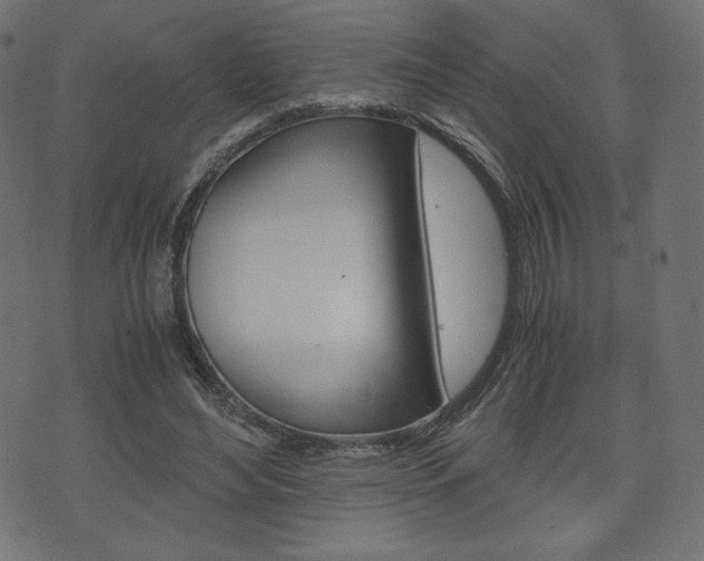 X0000071780492200606300920