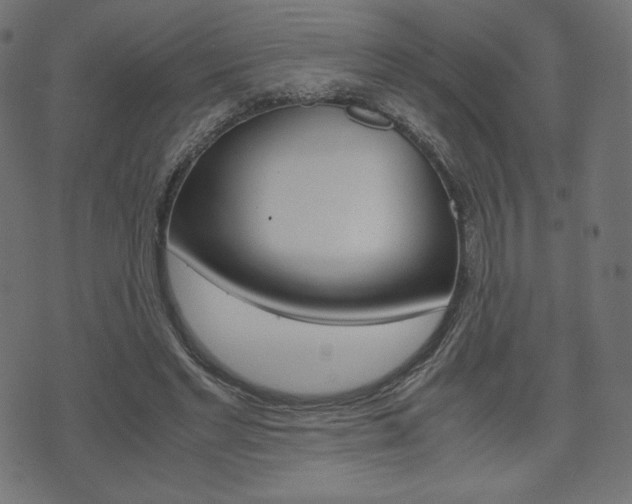 X0000071780493200606300920