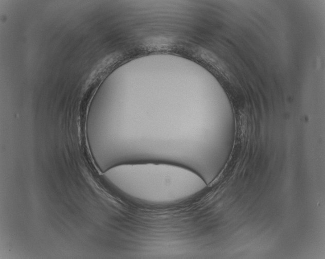 X0000071780494200606300920