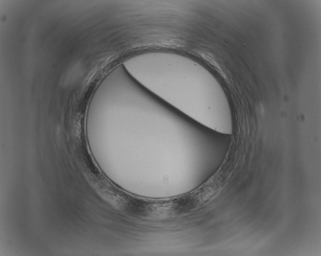 X0000071780495200606300920