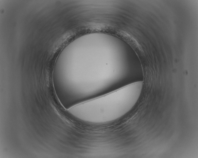 X0000071780496200606300920