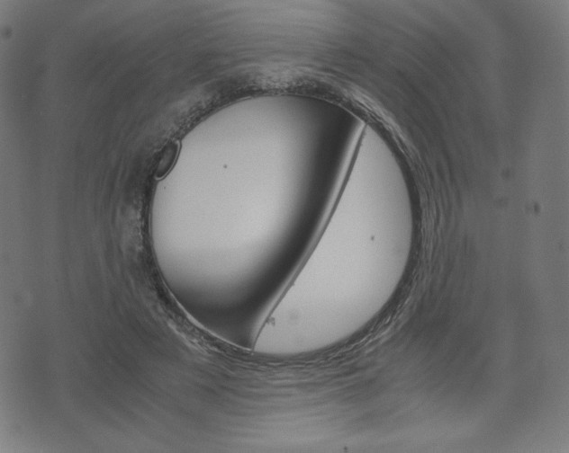 X0000071780497200606300920