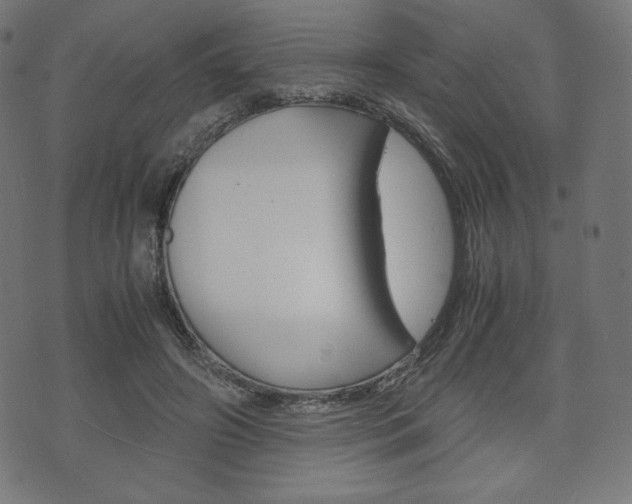 X0000071780498200606300920